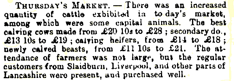 Market  1888-07-14 CHWS.JPG